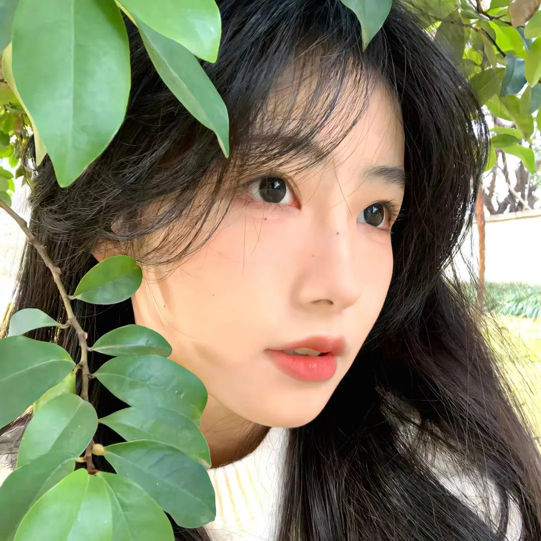 克莱尔的相机