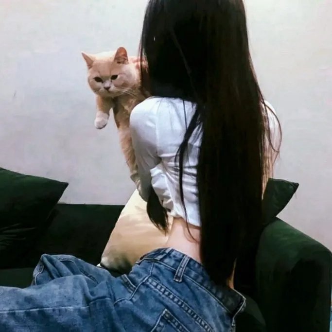 变调的灰姑娘